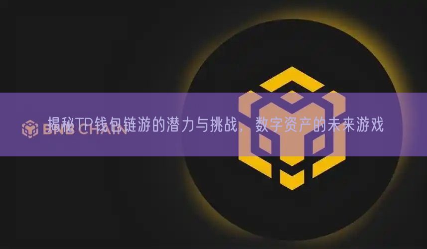 揭秘TP钱包链游的潜力与挑战，数字资产的未来游戏