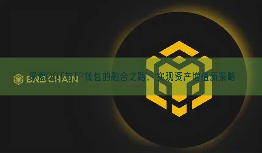 探索DOT与TP钱包的融合之路，实现资产增值新策略