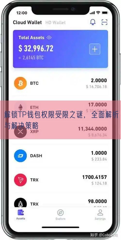 解锁TP钱包权限受限之谜，全面解析与解决策略