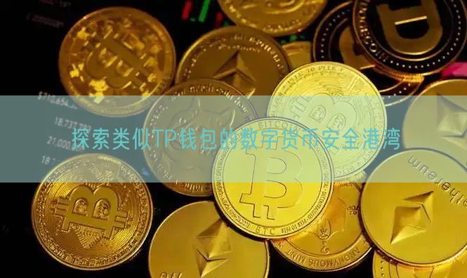 探索类似TP钱包的数字货币安全港湾