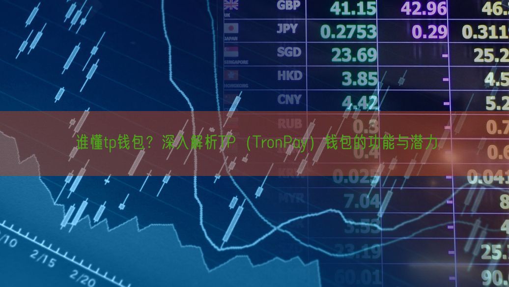 谁懂tp钱包？深入解析TP（TronPay）钱包的功能与潜力