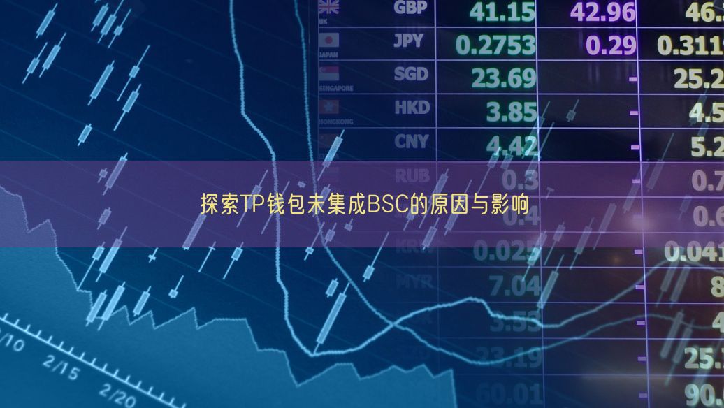 探索TP钱包未集成BSC的原因与影响