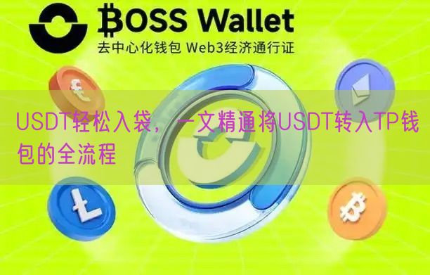 USDT轻松入袋，一文精通将USDT转入TP钱包的全流程