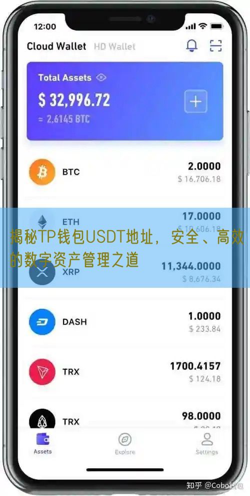 揭秘TP钱包USDT地址，安全、高效的数字资产管理之道