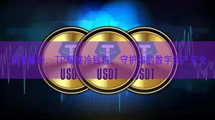 深度解析，TP观察冷钱包，守护你的数字资产安全