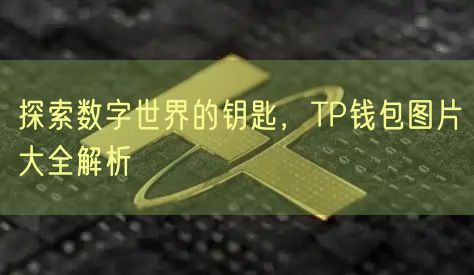 探索数字世界的钥匙，TP钱包图片大全解析