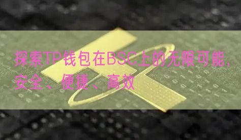 探索TP钱包在BSC上的无限可能，安全、便捷、高效