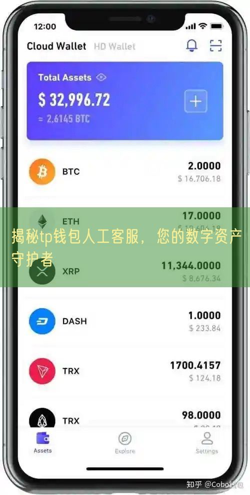 揭秘tp钱包人工客服，您的数字资产守护者