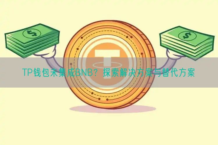 TP钱包未集成BNB？探索解决方案与替代方案