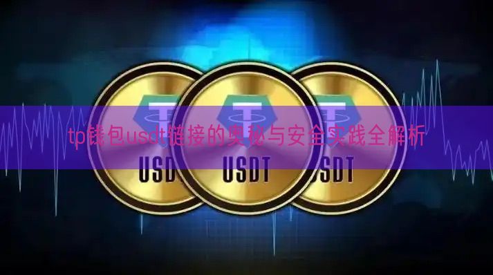 tp钱包usdt链接的奥秘与安全实践全解析