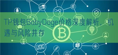 TP钱包BabyDoge价格深度解析，机遇与风险并存