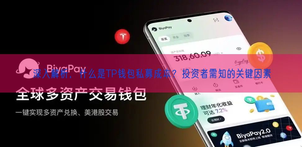 深入解析，什么是TP钱包私募成本？投资者需知的关键因素