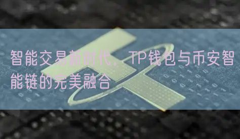 智能交易新时代，TP钱包与币安智能链的完美融合